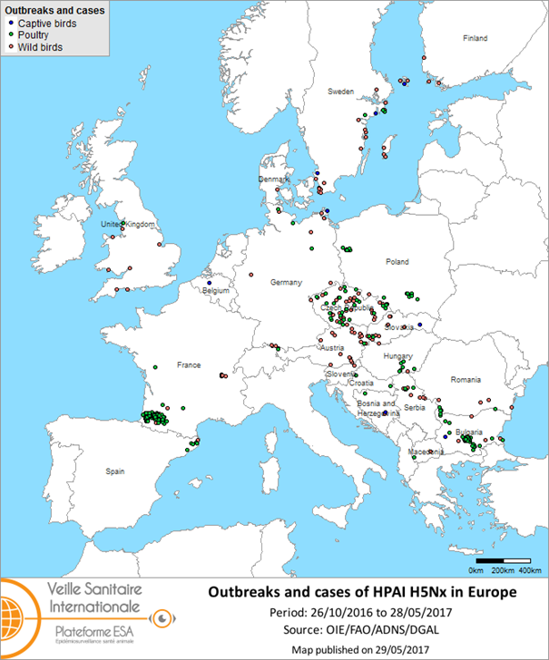 Map of outbreaks and cases of HPAI H5Nx reported in Europe