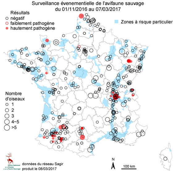 Répartition géographique des oiseaux sauvages ou issus de l'avifaune captive 