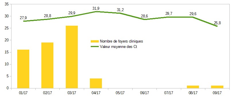 Valeurs moyennes de Ct des analyses RT-PCR groupe