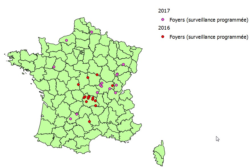 Foyers détectés dans le cadre de la surveillance programmée