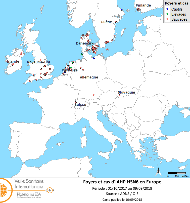 Figure : Carte des foyers et de cas d’IAHP H5N6 déclarés en Europe