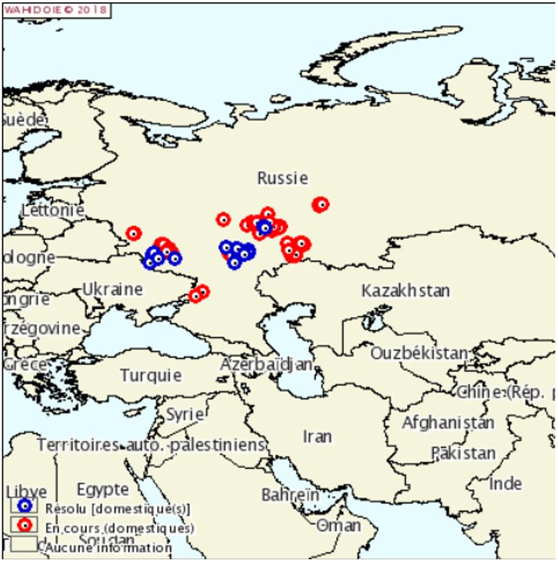 Figure 2: Foyers d'IAHP H5 déclarés en Russie depuis le 20 juin 2018