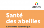 santé des abeilles