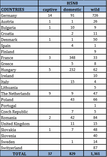 Number of outbreaks and cases of HPAI H5N8 in domestic