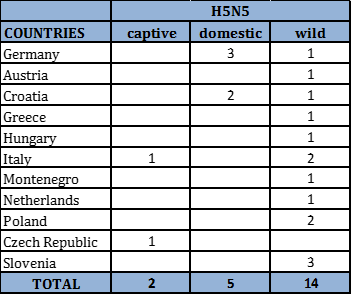 Number of outbreaks and cases of HPAI H5N5 in domestic