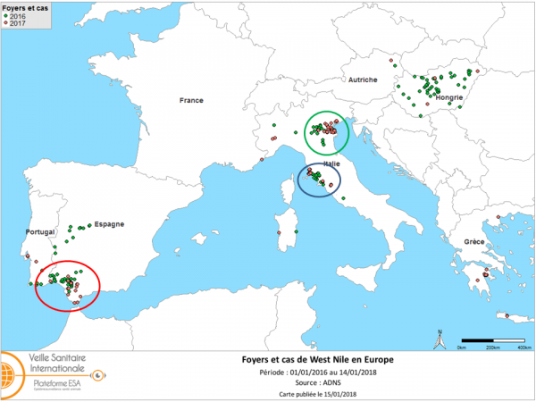 Figure 2. Foyers de West Nile équins en Europe