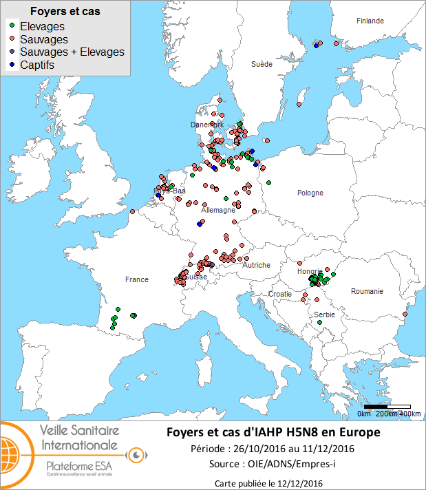 Figure 1 Carte des foyers et cas d’IAHP H5N8 déclarés dans l’Union européenne