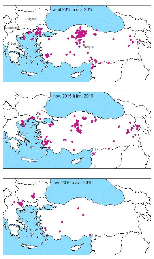 Figure 1 Foyers de dermatose nodulaire contagieuse