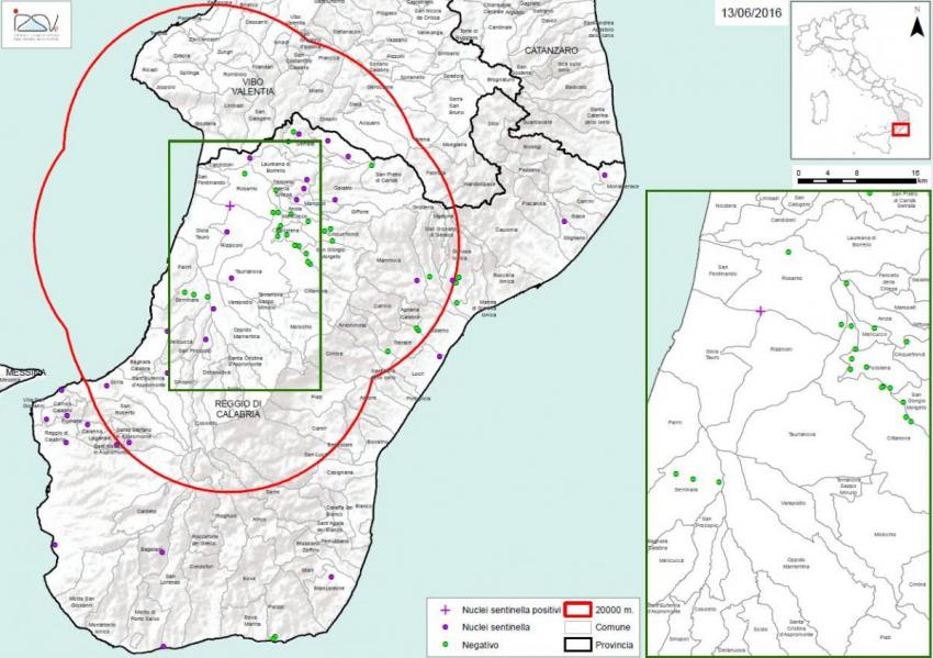 Carte 1 Localisation des foyers d'infestation par A. tumida en Calabre 