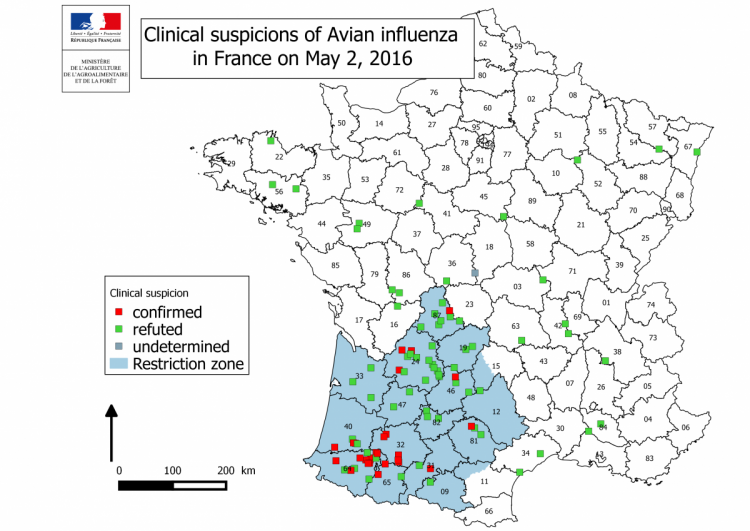 Figure 2 Suspicions cliniques déclarées