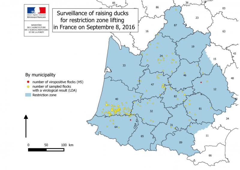 Figure 3 Nombre de résultats virologiques obtenus et foyers détectés lors de la surveillance en ZR dans les élevages de palmipèdes en démarrage et prégavage