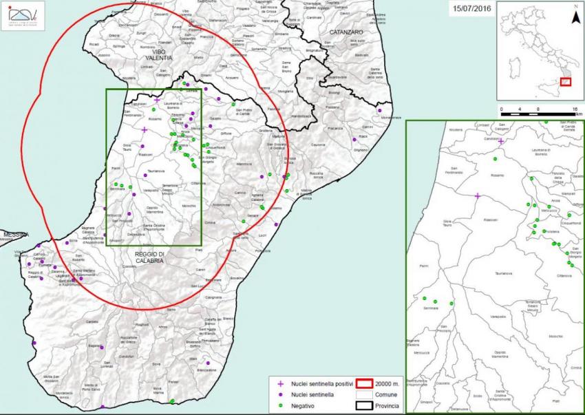 Carte 1 Localisation des foyers d'infestation par A. tumida en Calabre