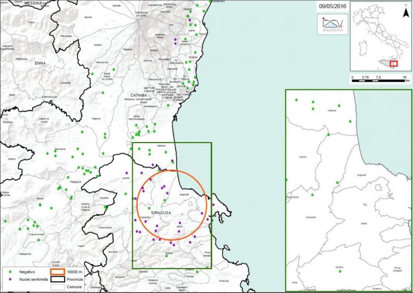 Carte 2 Localisation des foyers d'infestation par A. tumida en Sicile