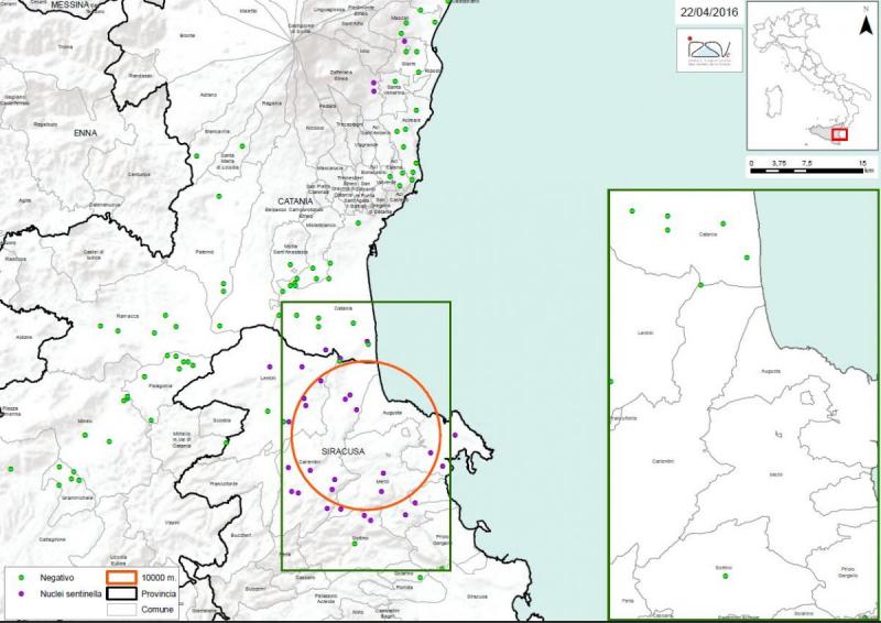 Carte 2 Localisation des foyers d'infestation par A. tumida en Sicile