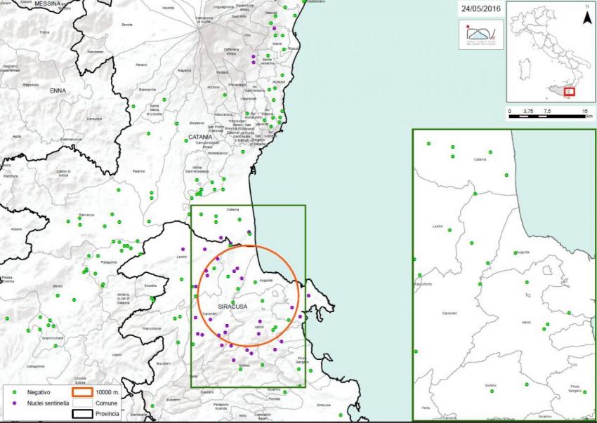 Carte 2 Localisation des foyers d'infestation par A. tumida en Sicile 