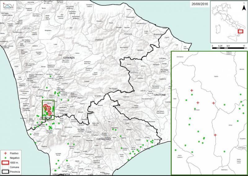 figura3 cosenza