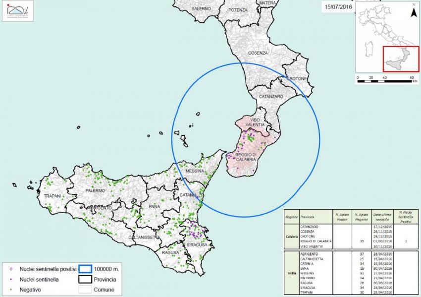 Carte 3 : Zones de surveillance d'A. tumida en Italie