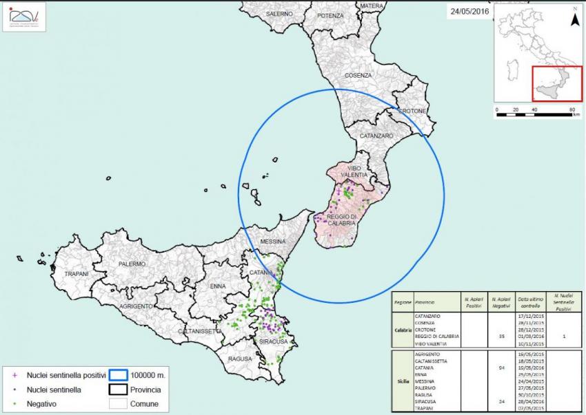 Carte 3 Zones de surveillance d'A. tumida en Italie