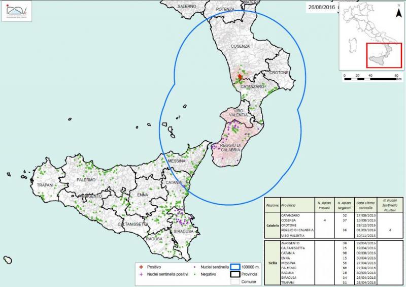 figura 5 zona sorveglianza sicilia calabria