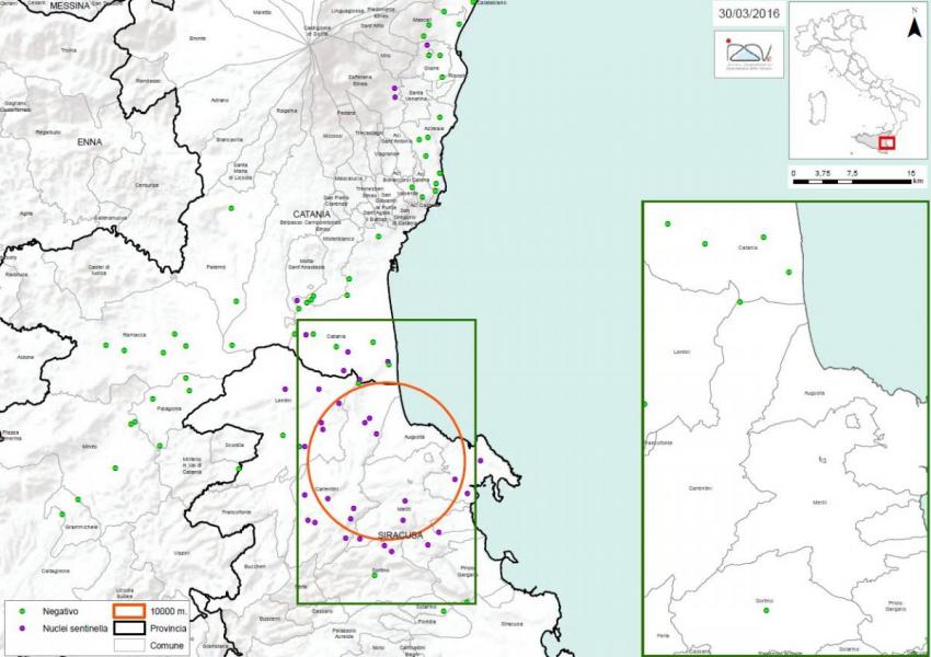 Carte 2 Localisation des foyers d'infestation par A. tumida en Sicile