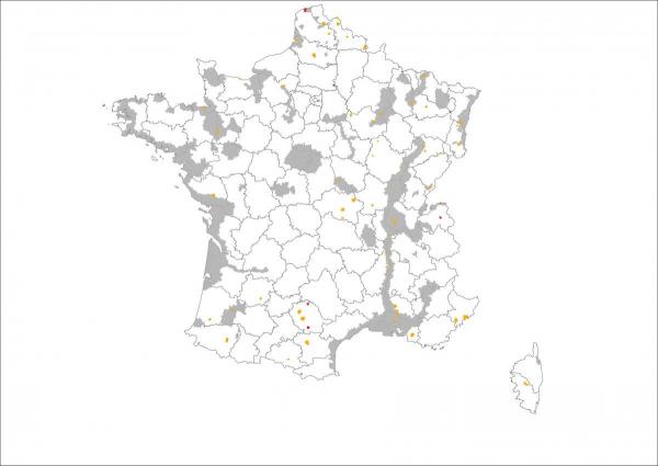 Figure 3 Premiers résultats des oiseaux collectés par le réseau Sagir depuis le 1er nov 2016 