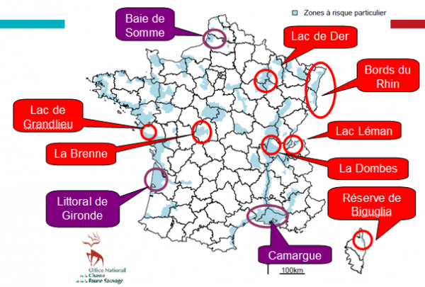 Figure 5 Zones de surveillance programmée en Influenza aviaire sur les oiseaux migrateurs