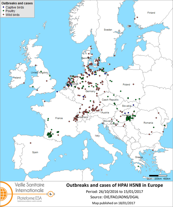 Figure 1 Map of outbreaks and cases of HPAI H5N8 reported in the European Union and Switzerland