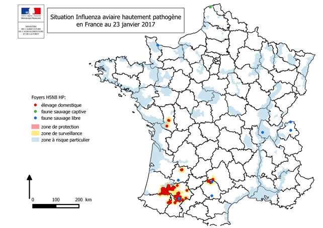 Figure 2 : Répartition géographique des foyers d'IAHP déclarés