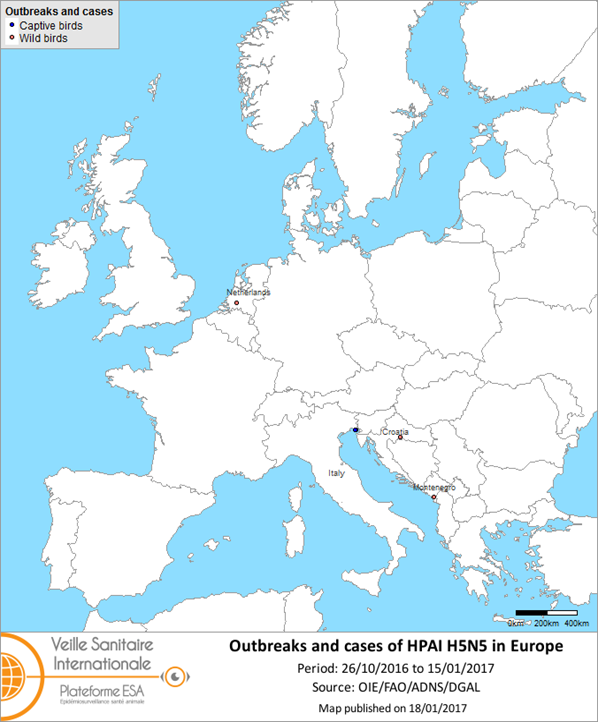 Figure 2 Map of outbreaks and cases of HPAI H5N5 reported in Europe