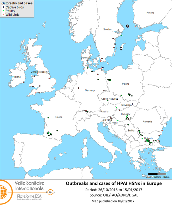 Figure 3 Map of outbreaks and cases of HPAI H5Nx reported in Europe
