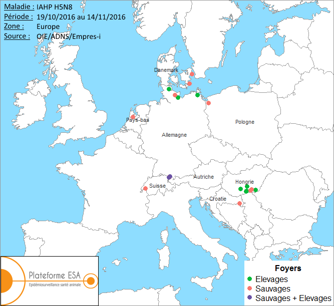 Figure 1 Carte européenne des foyers et cas d’IAHP H5N8 déclarés en octobre - novembre 2016