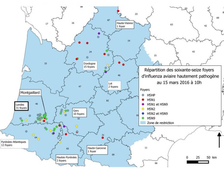 Figure 2 Répartition géographique des foyers confirmés d’influenza aviaire H5 HP