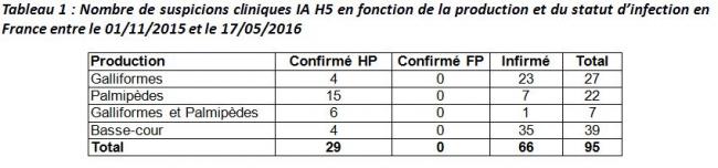 tableau 1 Nombre de suspicion clinique IA H5