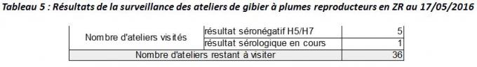 tableau 5 résultats de surveillance des ateliers de gibier à plumes reproducteurs en ZR