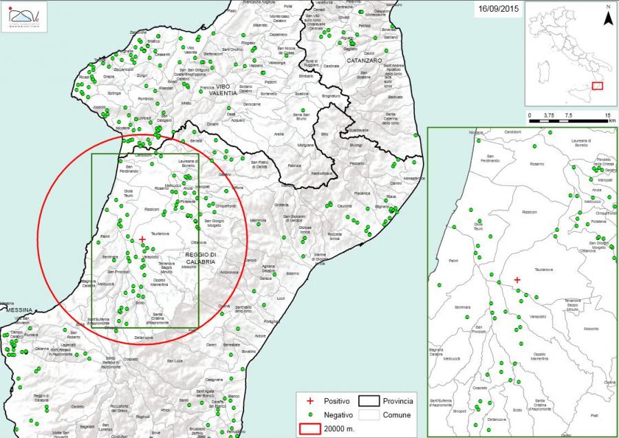 Carte 1 Localisation des foyers d'infestation par A. tumida en Calabre (16/09/2015) 