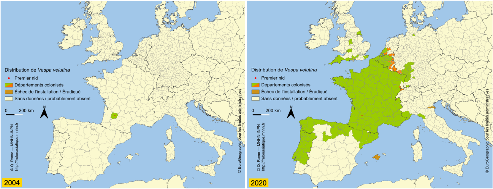 vespa carte europe