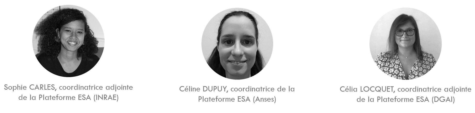 equipe de coordination