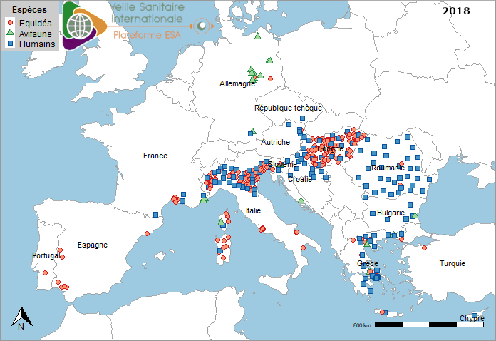 Localisation des cas humains acquis localement, des cas dans l’avifaune sauvage et des foyers équins de fièvre West Nile en Europe 2018