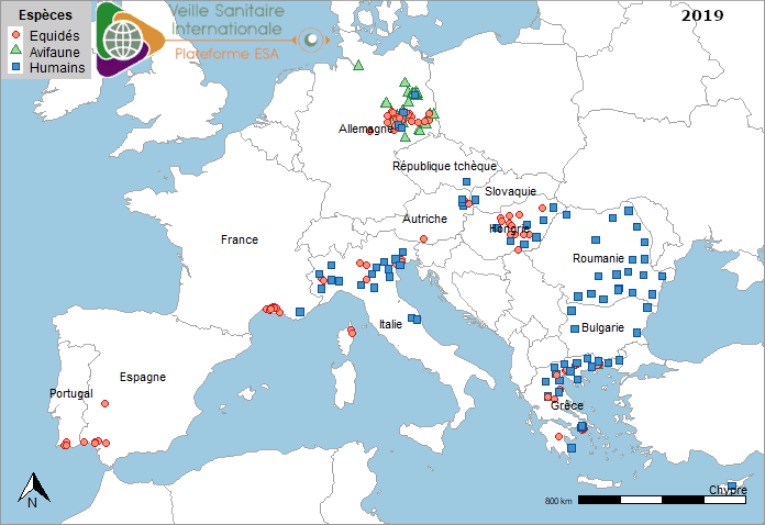 Localisation des cas humains acquis localement, des cas dans l’avifaune sauvage et des foyers équins de fièvre West Nile en Europe 2019