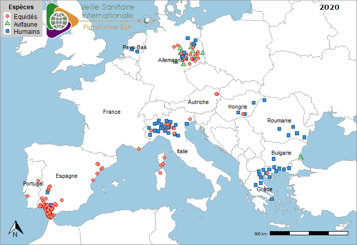 Localisation des cas humains acquis localement, des cas dans l’avifaune sauvage et des foyers équins de fièvre West Nile en Europe 2020