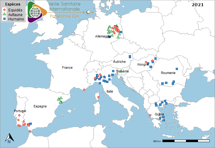 Localisation des cas humains acquis localement, des cas dans l’avifaune sauvage et des foyers équins de fièvre West Nile en Europe 2021