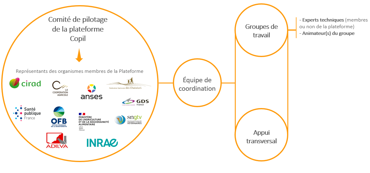 organisation fonctionnelle PESA