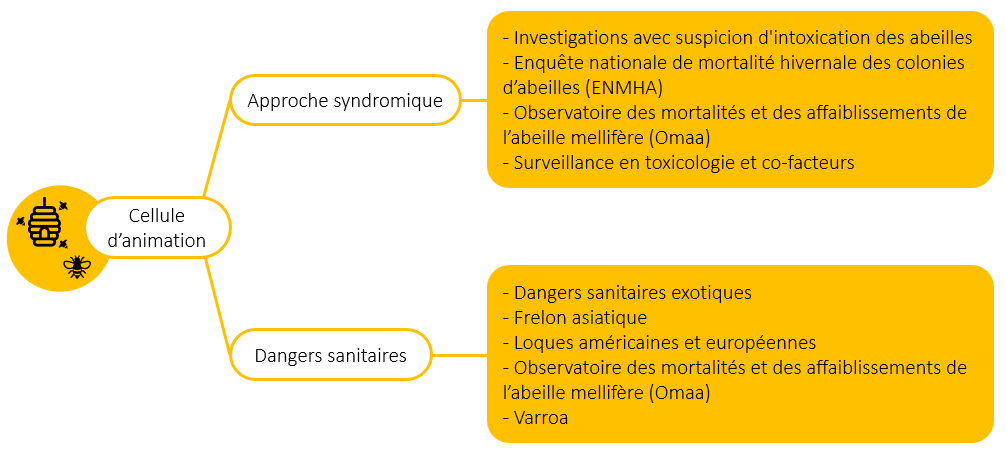 organisation groupes abeille