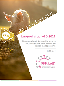 rapport activités 2021