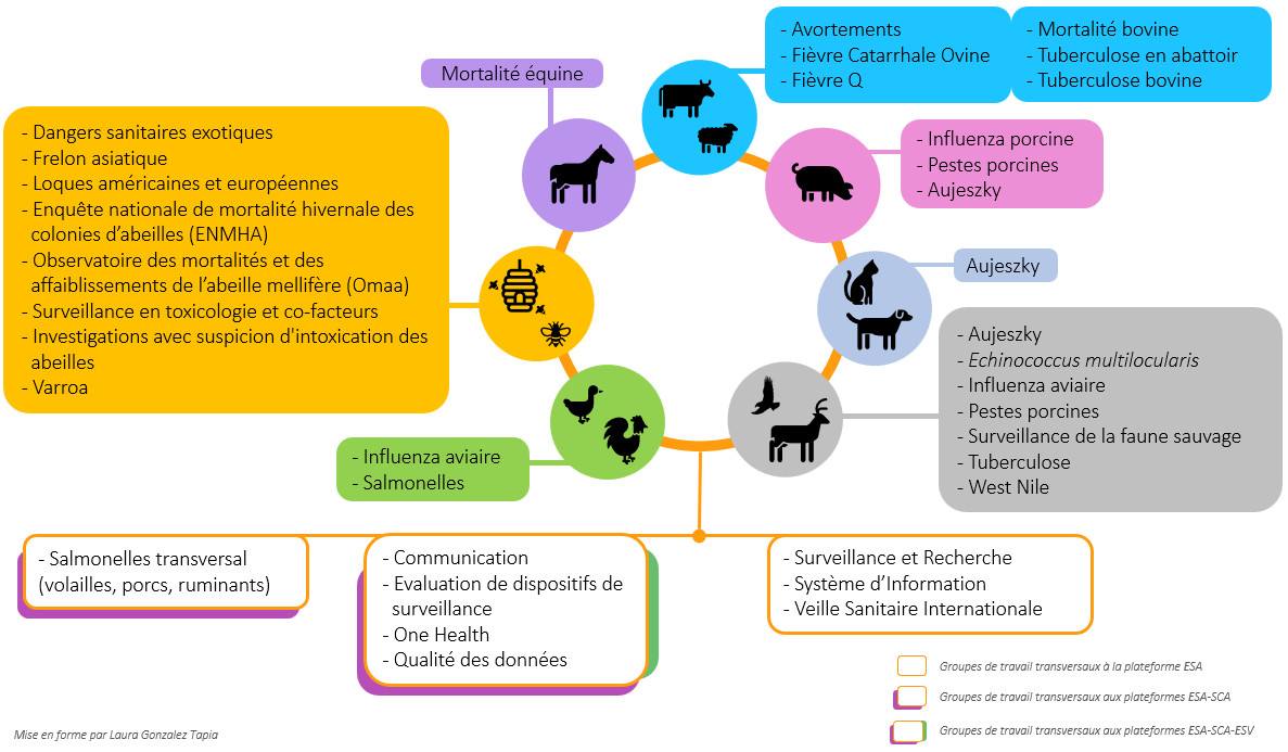 schéma ensemble de groupes de travail