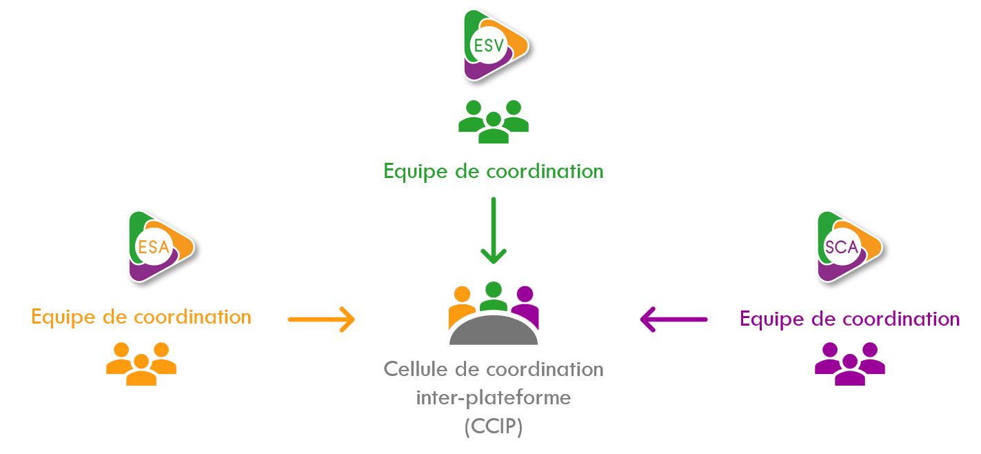 ccip