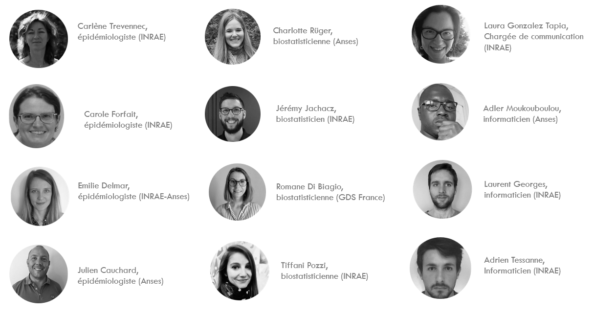 equipe appui transversal