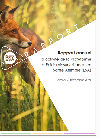 Rapport activité 2021