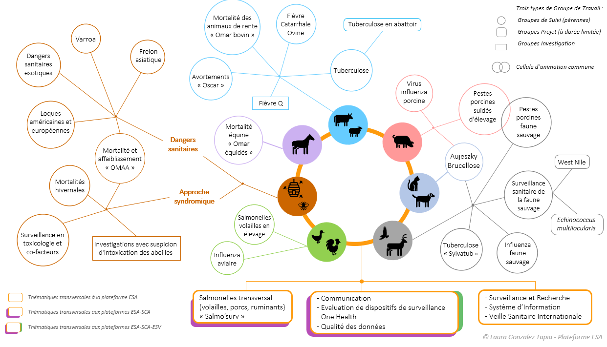 schema_thematiques_detaillee_maj_01_2023