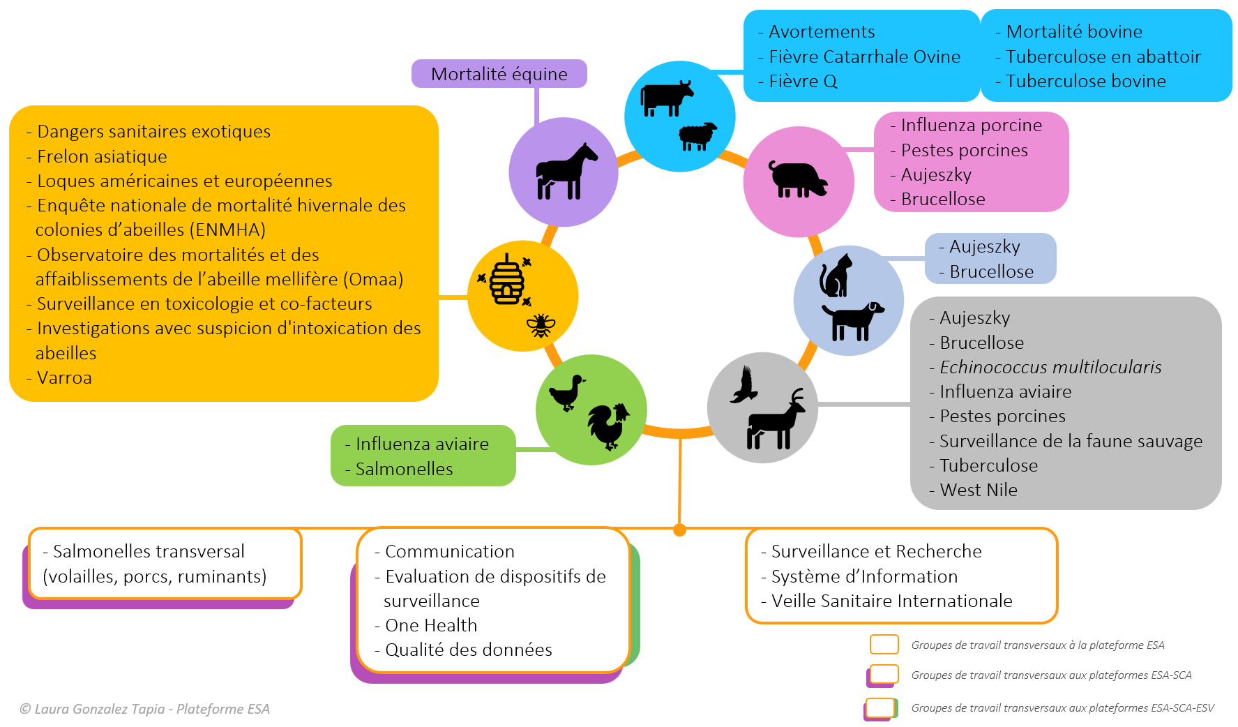 schema_thematiques_esa_maj_01_2023